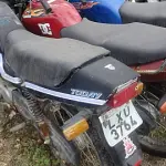 LOTE 29212
