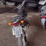 LOTE 29081