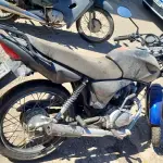 LOTE 29097