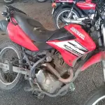 LOTE 29090