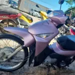 LOTE 29101