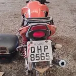 LOTE 29126