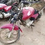 LOTE 29182