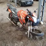 LOTE 29126