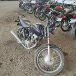LOTE 29084