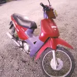 LOTE 29086