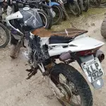 LOTE 29185