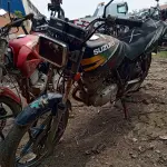 LOTE 29195