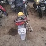 LOTE 29077