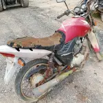 LOTE 29195