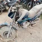 LOTE 29099