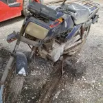 LOTE 29235