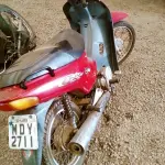 LOTE 29086