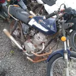 LOTE 29154