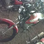 LOTE 29154
