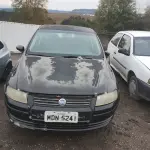 LOTE 29055