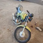 LOTE 29074
