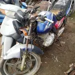 LOTE 29207