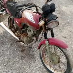 LOTE 29218