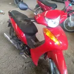 LOTE 29088