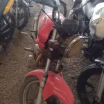 LOTE 29083