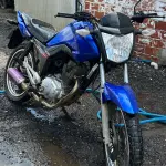 LOTE 29103