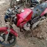 LOTE 29174