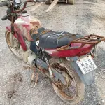 LOTE 29218