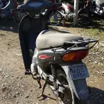 LOTE 29102