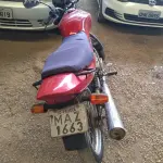 LOTE 29159