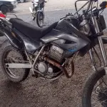 LOTE 29081