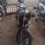 LOTE 29079
