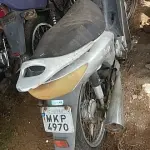 LOTE 29168