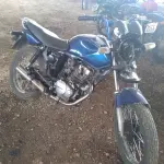 LOTE 29076