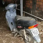 LOTE 29100