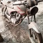 LOTE 29107