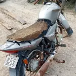 LOTE 29169