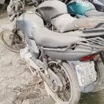 LOTE 29228