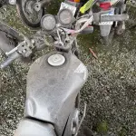 Foto 3