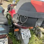 Foto 5