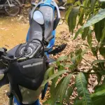 Foto 6