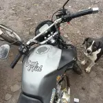 Foto 3