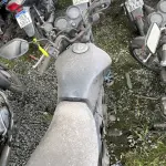 Foto 6