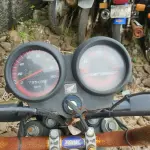 Foto 5