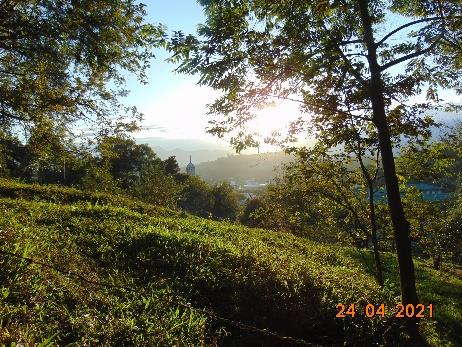 Foto 14