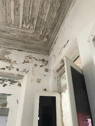 Foto 42