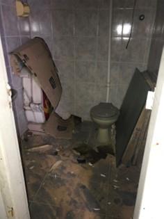 Foto 51