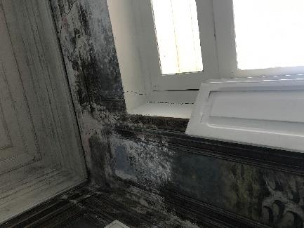 Foto 41