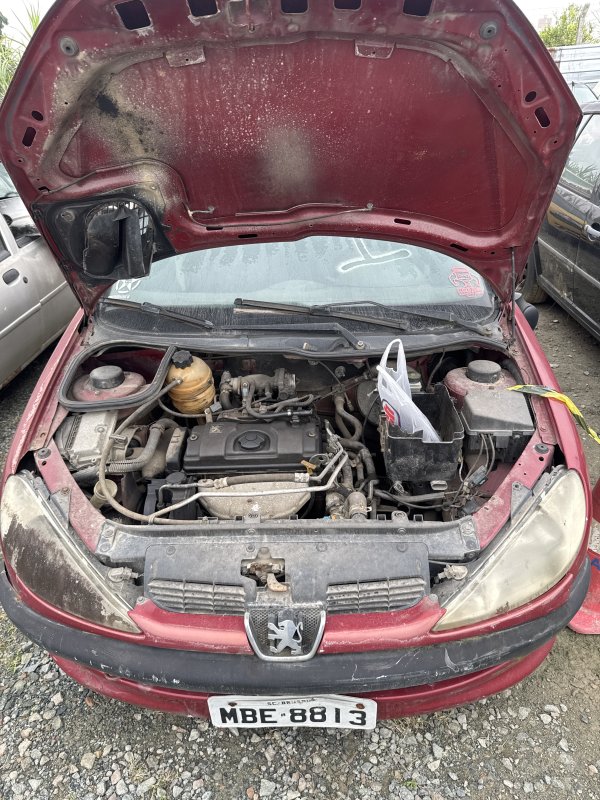 Foto de I/PEUGEOT 206 SOLEIL