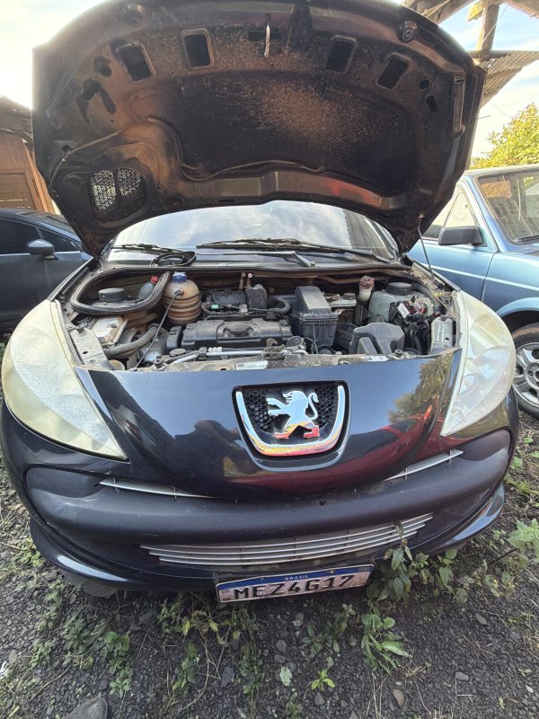 Foto de PEUGEOT/207HB XR